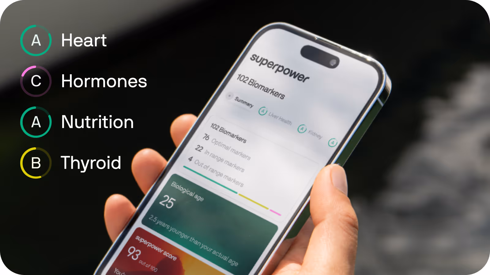 A phone showing a health dashboard with heart, hormone, nutrition and thyroid scores
